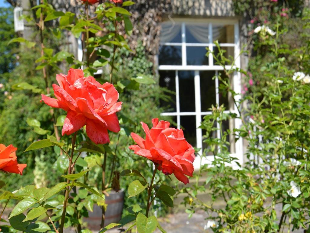 Powis House B&B Stirling Exteriör bild